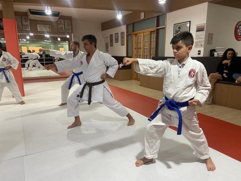 Aulas de karate-do na Renbukan Brasil - Escola de Artes Marciais Japonesas - Cotia - São Paulo - Sensei Francisco Santiago (13)