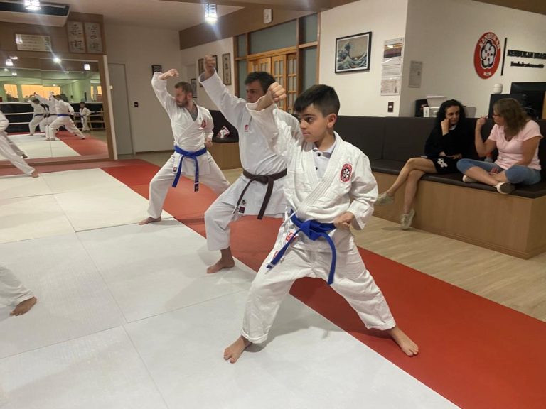 Aulas de karate-do na Renbukan Brasil - Escola de Artes Marciais Japonesas - Cotia - São Paulo - Sensei Francisco Santiago (14)
