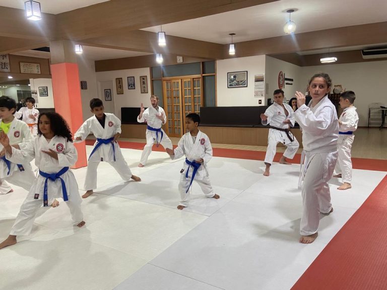 Aulas de karate-do na Renbukan Brasil - Escola de Artes Marciais Japonesas - Cotia - São Paulo - Sensei Francisco Santiago (2)