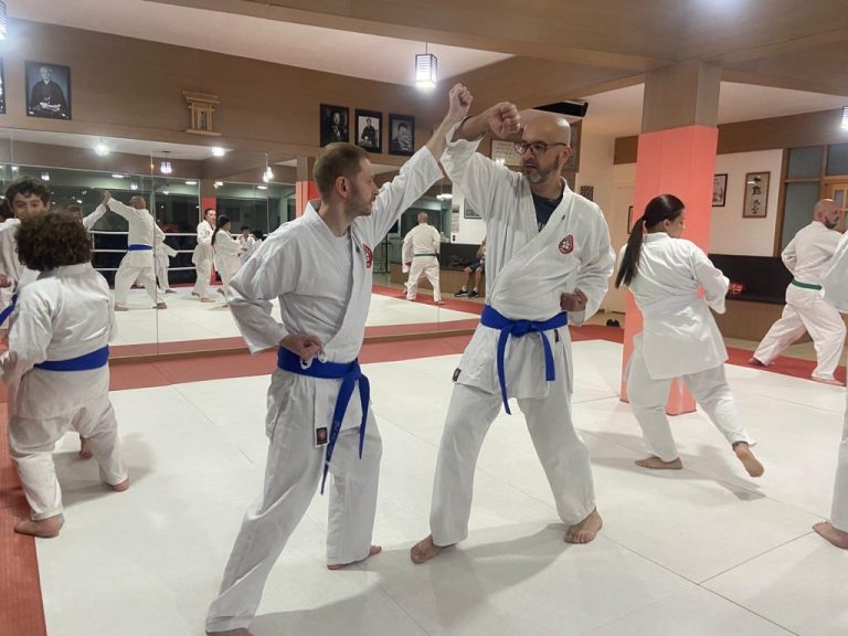 Aulas de karate-do na Renbukan Brasil - Escola de Artes Marciais Japonesas - Cotia - São Paulo - Sensei Francisco Santiago (21)