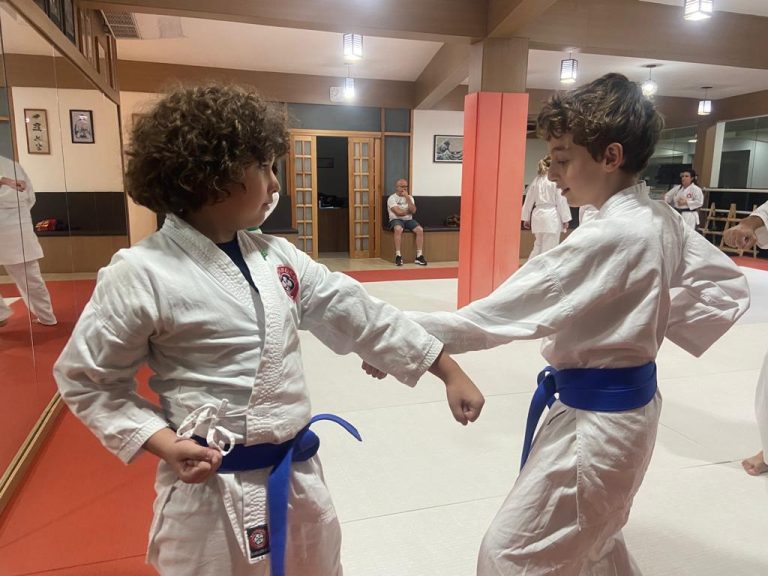 Aulas de karate-do na Renbukan Brasil - Escola de Artes Marciais Japonesas - Cotia - São Paulo - Sensei Francisco Santiago (22)