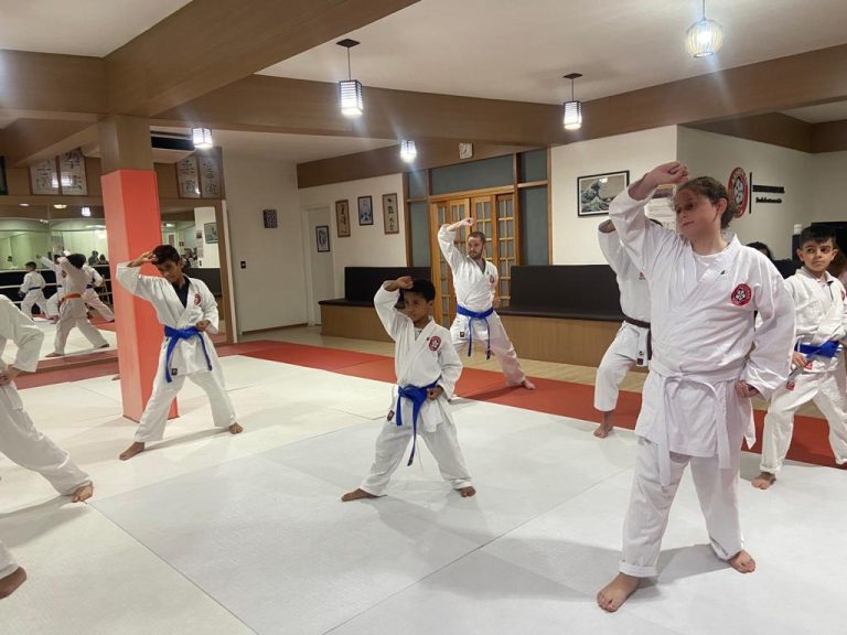 Aulas de karate-do na Renbukan Brasil - Escola de Artes Marciais Japonesas - Cotia - São Paulo - Sensei Francisco Santiago (4)