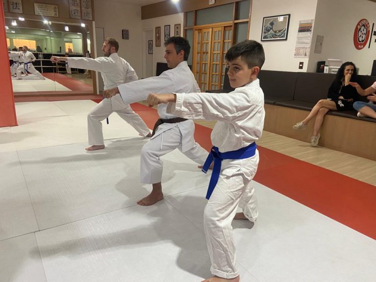 Aulas de karate-do na Renbukan Brasil - Escola de Artes Marciais Japonesas - Cotia - São Paulo - Sensei Francisco Santiago (5)