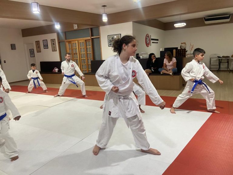 Aulas de karate-do na Renbukan Brasil - Escola de Artes Marciais Japonesas - Cotia - São Paulo - Sensei Francisco Santiago (7)