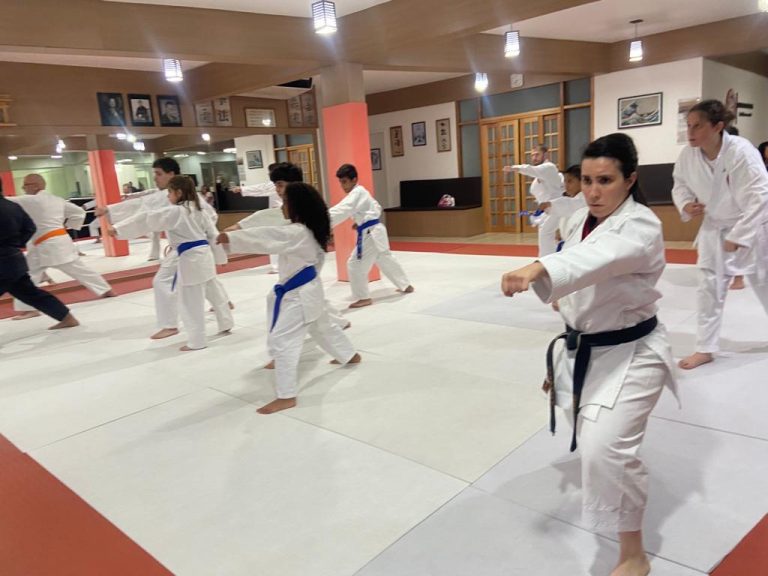 Aulas de karate-do na Renbukan Brasil - Escola de Artes Marciais Japonesas - Cotia - São Paulo - Sensei Francisco Santiago - Barbara Belafronte