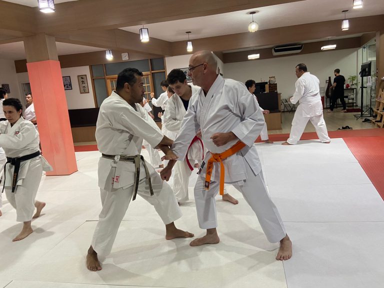 Aulas de karate-do na Renbukan Brasil - Escola de Artes Marciais Japonesas - Cotia - São Paulo - Sensei Francisco Santiago - Sensei Barbara Belafronte (2)