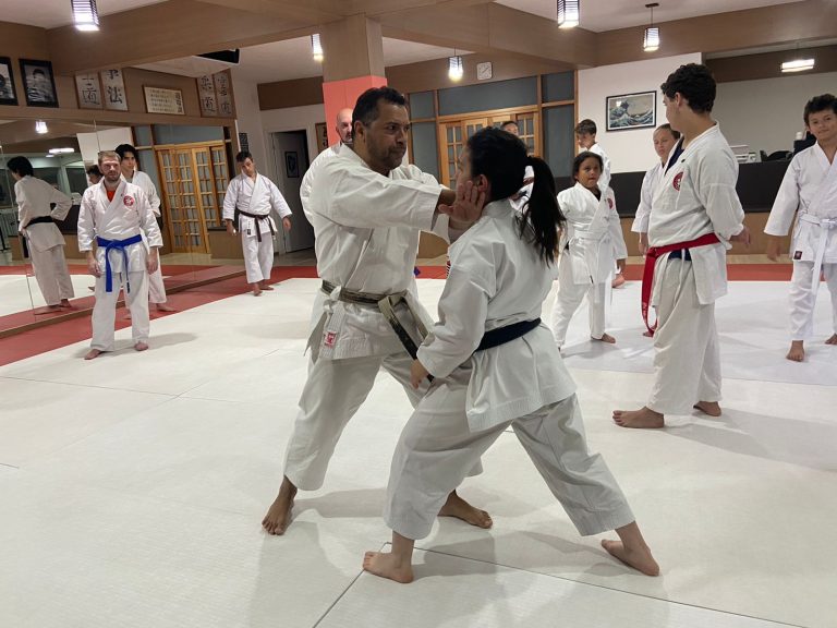Aulas de karate-do na Renbukan Brasil - Escola de Artes Marciais Japonesas - Cotia - São Paulo - Sensei Francisco Santiago - Sensei Barbara Belafronte (4)