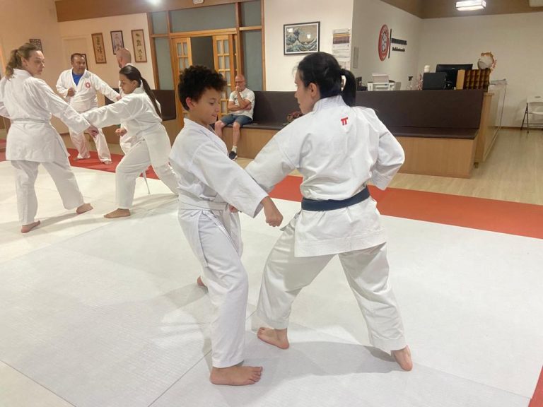 Aulas de karate-do na Renbukan Brasil - Escola de Artes Marciais Japonesas - Cotia - São Paulo - Sensei Francisco Santiago - Sensei Barbara Belafronte (5)