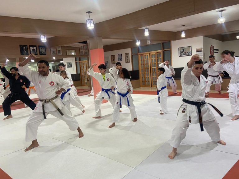 Aulas de karate-do na Renbukan Brasil - Escola de Artes Marciais Japonesas - Cotia - São Paulo - Sensei Francisco Santiago - Sensei Barbara Belafronte (6)