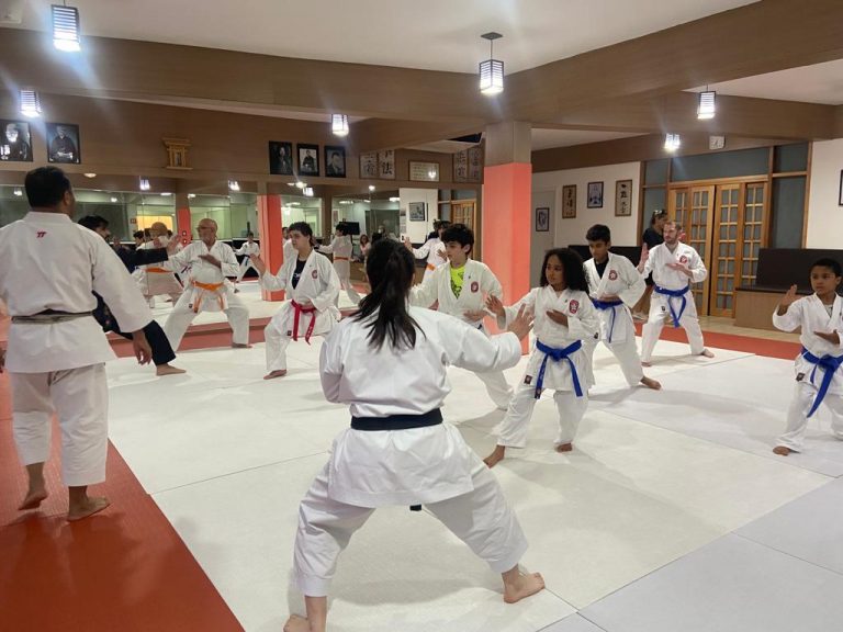 Aulas de karate-do na Renbukan Brasil - Escola de Artes Marciais Japonesas - Cotia - São Paulo - Sensei Francisco Santiago - Sensei Barbara Belafronte