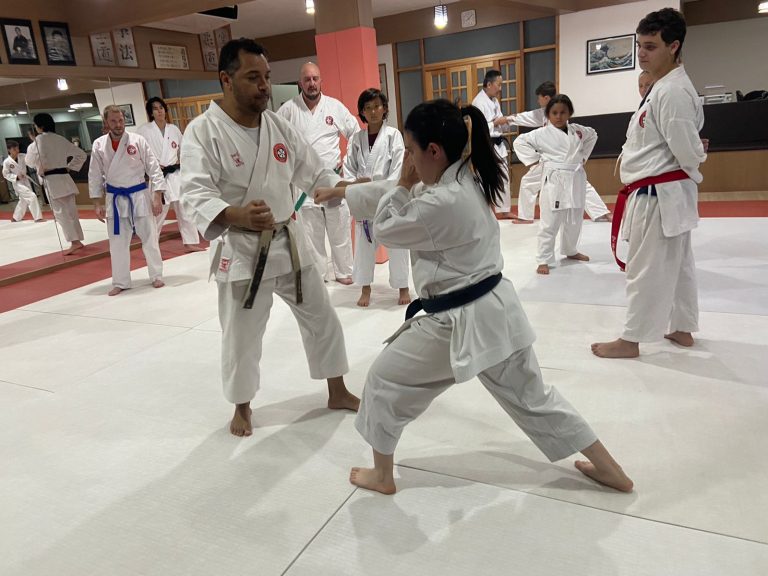 Aulas de karate-do na Renbukan Brasil - Escola de Artes Marciais Japonesas - Cotia - São Paulo - Sensei Francisco Santiago - sensei Barbara Belafronte