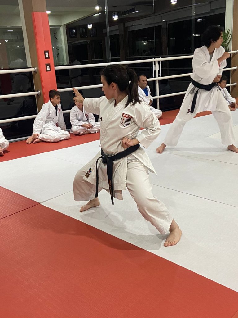 Aulas de karate-do na Renbukan Brasil - Escola de Artes Marciais Japonesas - Cotia - São Paulo - Sensei Francisco Santiago - sensei Barbara Belafronte (2)