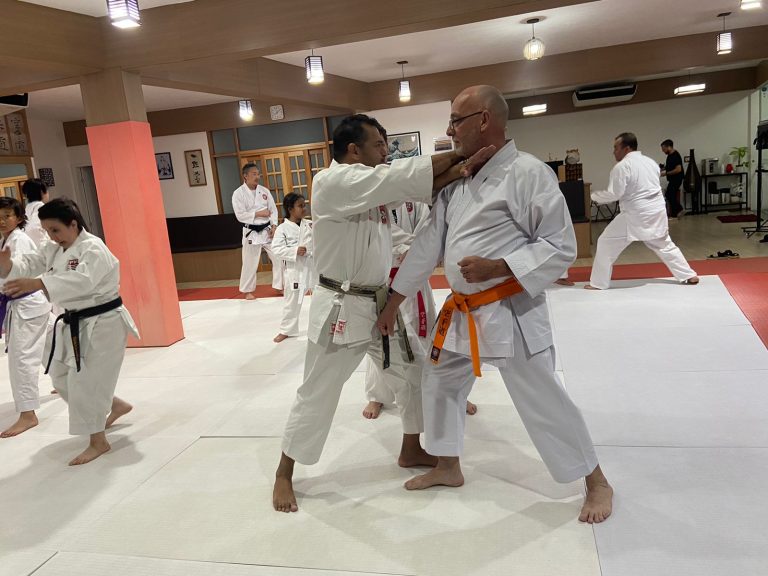 Aulas de karate-do na Renbukan Brasil - Escola de Artes Marciais Japonesas - Cotia - São Paulo - Sensei Francisco Santiago - sensei Barbara Belafronte (3)