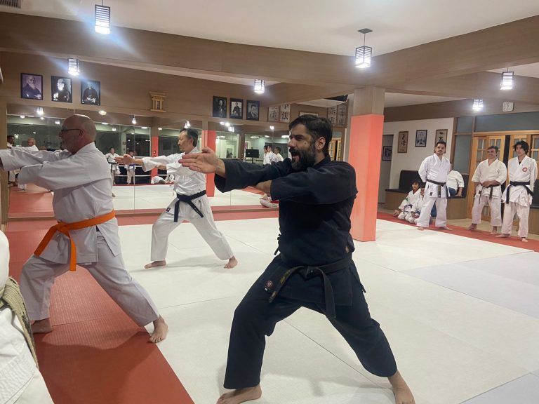 Aula de Karate - Sensei Francisco Santiago - Renbukan Brasil - Escola de Artes Marciais Japonesas - Cotia - São Paulo (1)