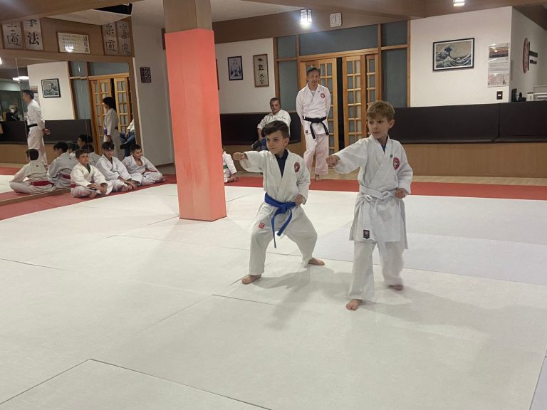 Aula de Karate - Sensei Francisco Santiago - Renbukan Brasil - Escola de Artes Marciais Japonesas - Cotia - São Paulo (4)