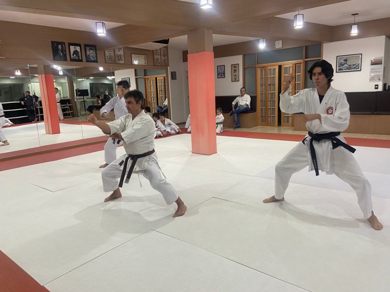 Aula de Karate - Sensei Francisco Santiago - Renbukan Brasil - Escola de Artes Marciais Japonesas - Cotia - São Paulo (7)