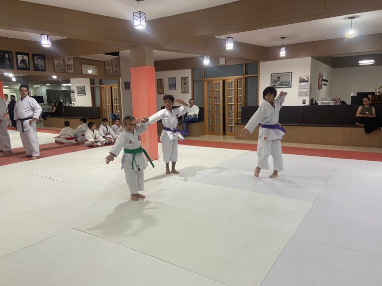 Aula de Karate - Sensei Francisco Santiago - Renbukan Brasil - Escola de Artes Marciais Japonesas - Cotia - São Paulo (8)