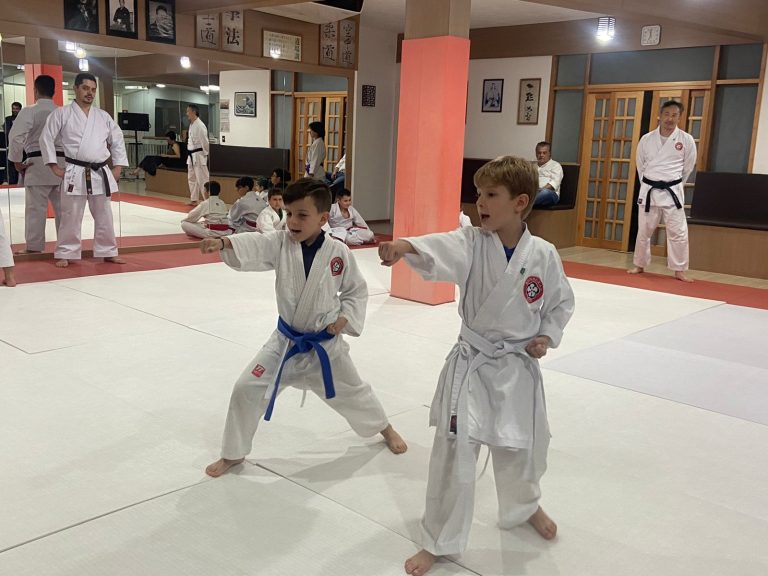 Aula de Karate - Sensei Francisco Santiago - Renbukan Brasil - Escola de Artes Marciais Japonesas - Cotia - São Paulo - Arthur Duarte