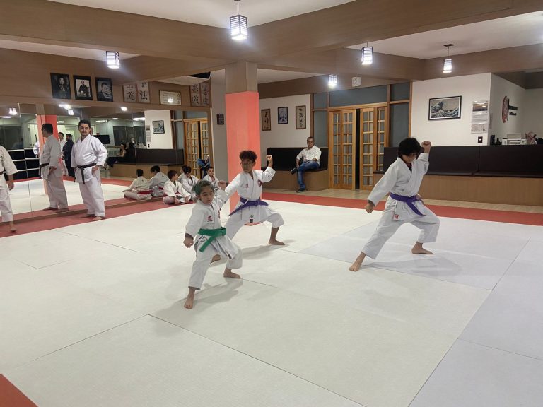Aula de Karate - Sensei Francisco Santiago - Renbukan Brasil - Escola de Artes Marciais Japonesas - Cotia - São Paulo - Fiorella Bonaguro - Yago Seto - Arthur Duarte