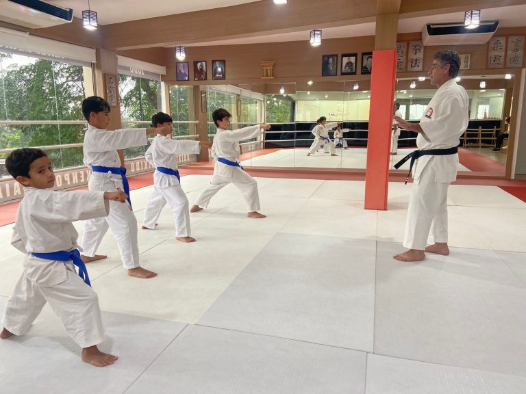 Aula de Karate - Sensei Roberto Nascimento - Karate Shotokan - Renbukan Brasil - Escola de Artes Marciais Japonesas - Cotia - São Paulo (4)
