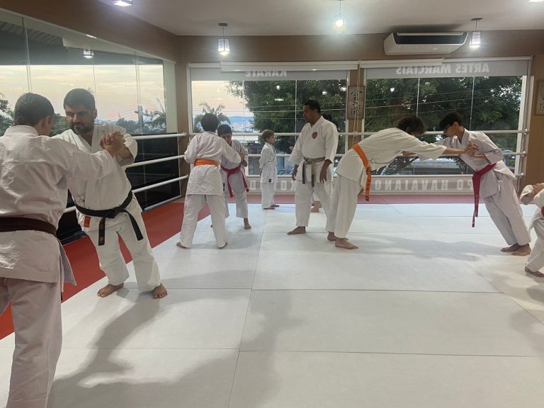 Aula de Karate-do - Sensei Francisco Santiago - Renbukan Brasil - Escola de Artes Marciais Japonesas - (1)
