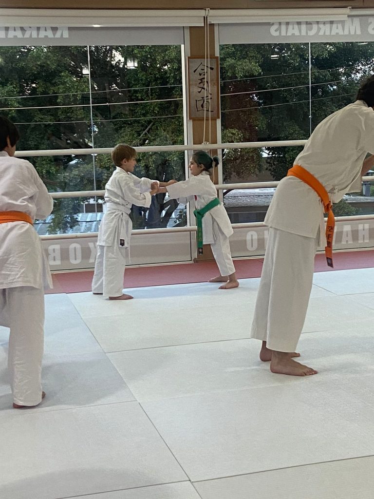 Aula de Karate-do - Sensei Francisco Santiago - Renbukan Brasil - Escola de Artes Marciais Japonesas - (12)