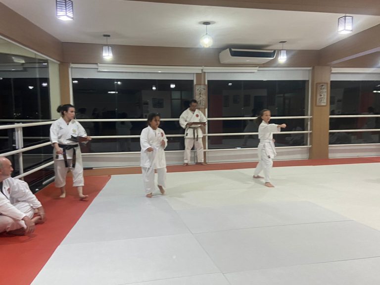Aula de Karate-do - Sensei Francisco Santiago - Renbukan Brasil - Escola de Artes Marciais Japonesas - (13)
