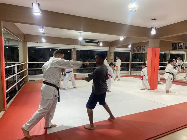 Aula de Karate-do - Sensei Francisco Santiago - Renbukan Brasil - Escola de Artes Marciais Japonesas - (16)