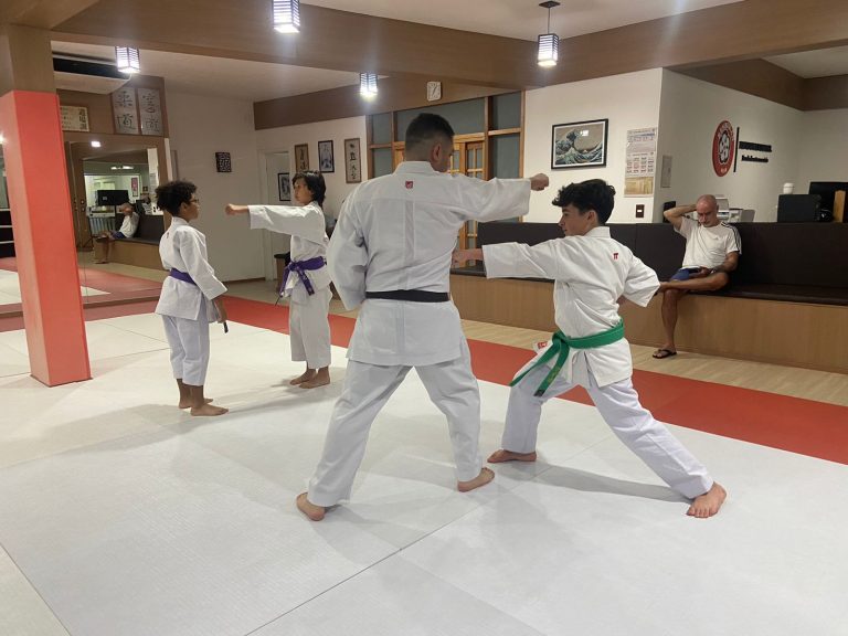 Aula de Karate-do - Sensei Francisco Santiago - Renbukan Brasil - Escola de Artes Marciais Japonesas - (18)