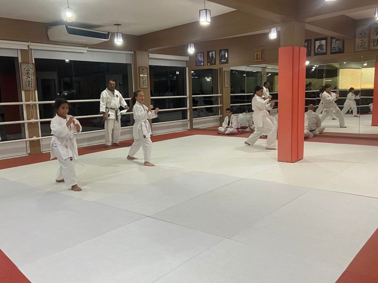 Aula de Karate-do - Sensei Francisco Santiago - Renbukan Brasil - Escola de Artes Marciais Japonesas - (2)