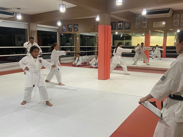 Aula de Karate-do - Sensei Francisco Santiago - Renbukan Brasil - Escola de Artes Marciais Japonesas - (2)