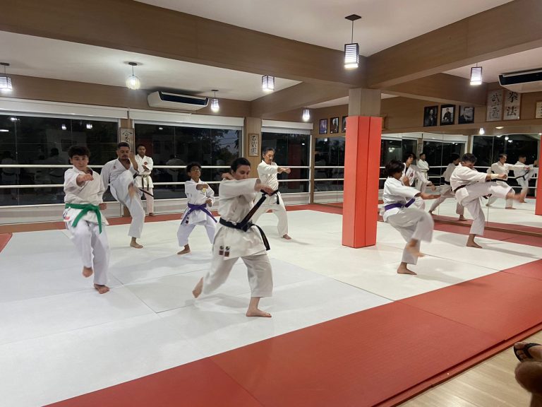 Aula de Karate-do - Sensei Francisco Santiago - Renbukan Brasil - Escola de Artes Marciais Japonesas - Arthur Duarte - Yago seto - sensei Barbara Belafronte