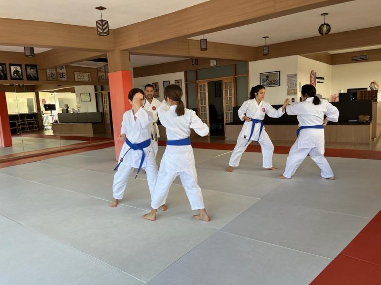 Aula de Karate-do feminino - Renbukan Brasil - Escola de Artes Marciais Japonesas - Cotia - São Paulo