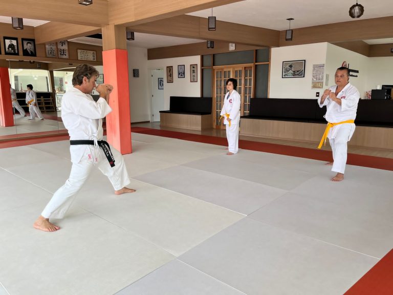 Aula de Karate para crianças - Renbukan Brasil - Escola de Artes Marciais Japonesas - Cotia - São Paulo - Sensei Roberto Nascimento