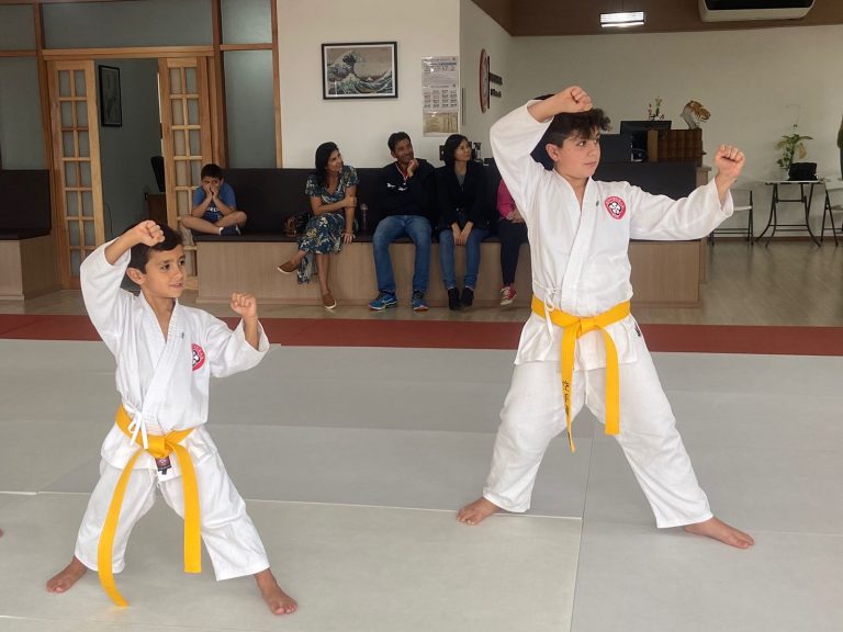 Aula de Karate para crianças - Renbukan Brasil - Escola de Artes Marciais Japonesas - Cotia - São Paulo - Sensei Roberto Nascimento