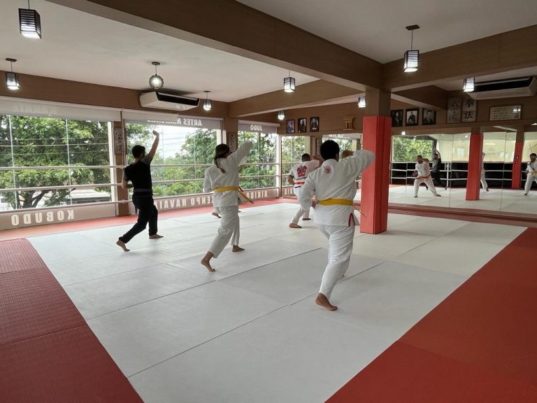 Aula de Kenpo Havaiano - Renbukan Brasil - Escola de artes Marciais japonesas - Cotia - São Paulo
