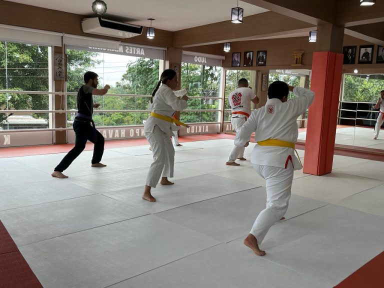 Aula de Kenpo Havaiano - Renbukan Brasil - Escola de artes Marciais japonesas - Cotia - São Paulo