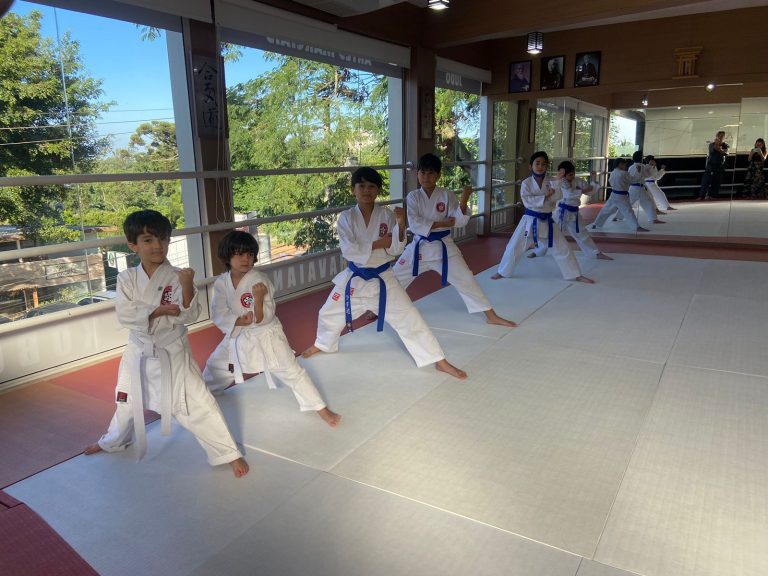 Aula de karate para crianças e adolescentes - Renbukan Brasil - Escola de Artes Marciais Japonesas - Sensei Roberto Nascimento - Cotia - São Paulo
