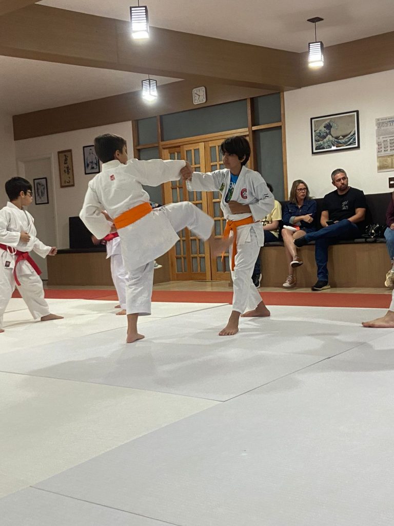 Aulas de karate-do com sensei Francisco Santiago - Renbukan Brasil - Escola de Artes Marciais Japonesas - Cotia - São Paulo (27)