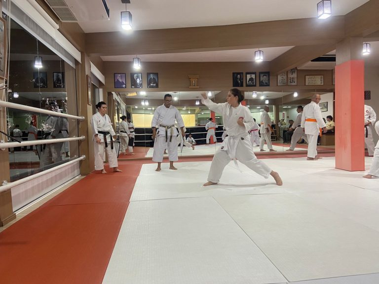 Aulas de karate-do com sensei Francisco Santiago - Renbukan Brasil - Escola de Artes Marciais Japonesas - Cotia - São Paulo (4)