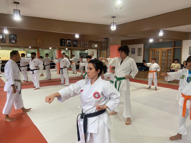 Aulas de karate-do com sensei Francisco Santiago - Renbukan Brasil - Escola de Artes Marciais Japonesas - Cotia - São Paulo - Arthur Duarte (34)