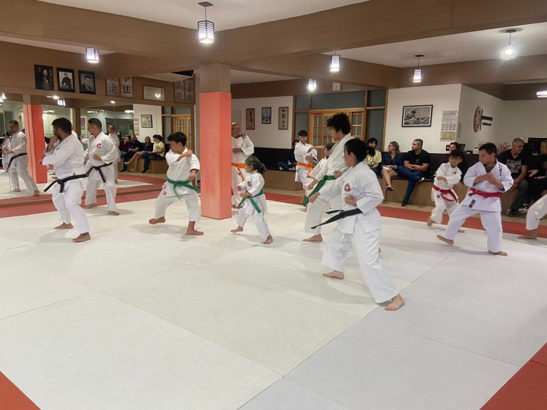 Aulas de karate-do com sensei Francisco Santiago - Renbukan Brasil - Escola de Artes Marciais Japonesas - Cotia - São Paulo - Arthur Duarte - Fiorella Bonaguro - (31)