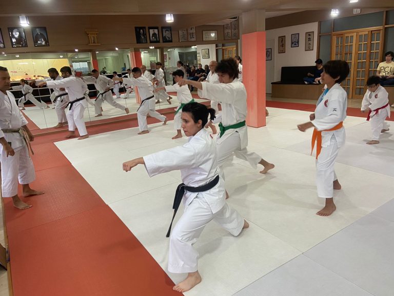 Aulas de karate-do com sensei Francisco Santiago - Renbukan Brasil - Escola de Artes Marciais Japonesas - Cotia - São Paulo - Arthur Duarte - Sensei Bárbara Belafronte (32)