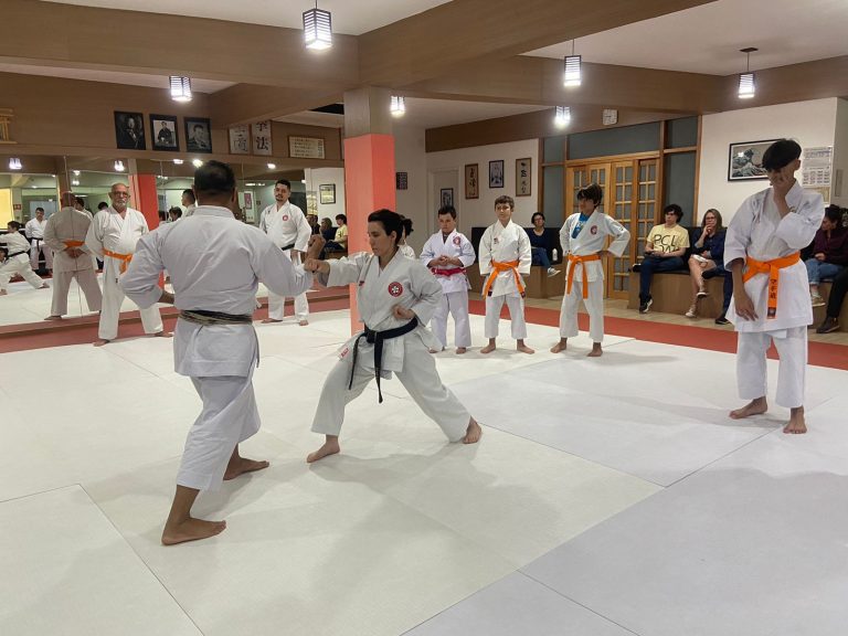 Aulas de karate-do com sensei Francisco Santiago - Renbukan Brasil - Escola de Artes Marciais Japonesas - Cotia - São Paulo - Bárbara Belafronte (26)