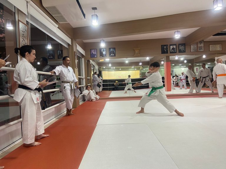 Aulas de karate-do com sensei Francisco Santiago - Renbukan Brasil - Escola de Artes Marciais Japonesas - Cotia - São Paulo - Bárbara Belafronte(6)