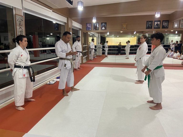 Aulas de karate-do com sensei Francisco Santiago - Renbukan Brasil - Escola de Artes Marciais Japonesas - Cotia - São Paulo - sensei Bárbara Belafronte (17)