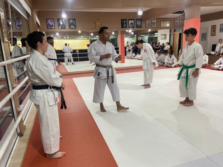 Aulas de karate-do com sensei Francisco Santiago - Renbukan Brasil - Escola de Artes Marciais Japonesas - Cotia - São Paulo - sensei Bárbara Belafronte (18)