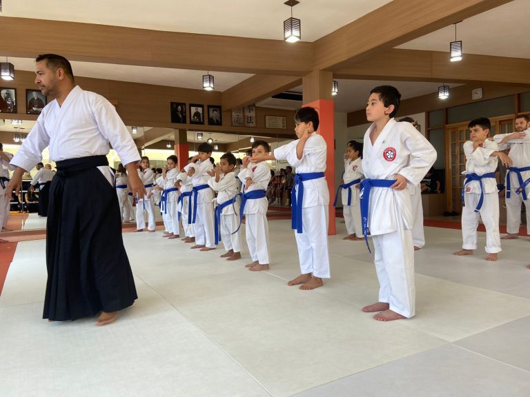 Exame de Faixa - Karate - Renbukan Brasil - Escola de Artes Marciais Japonesas - Cotia - São Paulo - Sensei Francisco Santiago