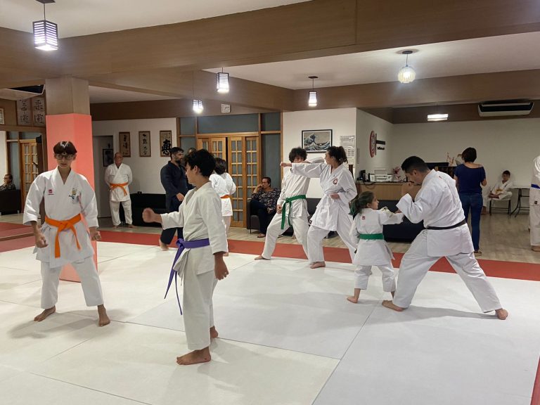 Aula de Karate Shotokan - Renbukan Brasil - Escola de Artes Marciais Japonesas - Cotia - São Paulo - Sensei Francisco Santiago