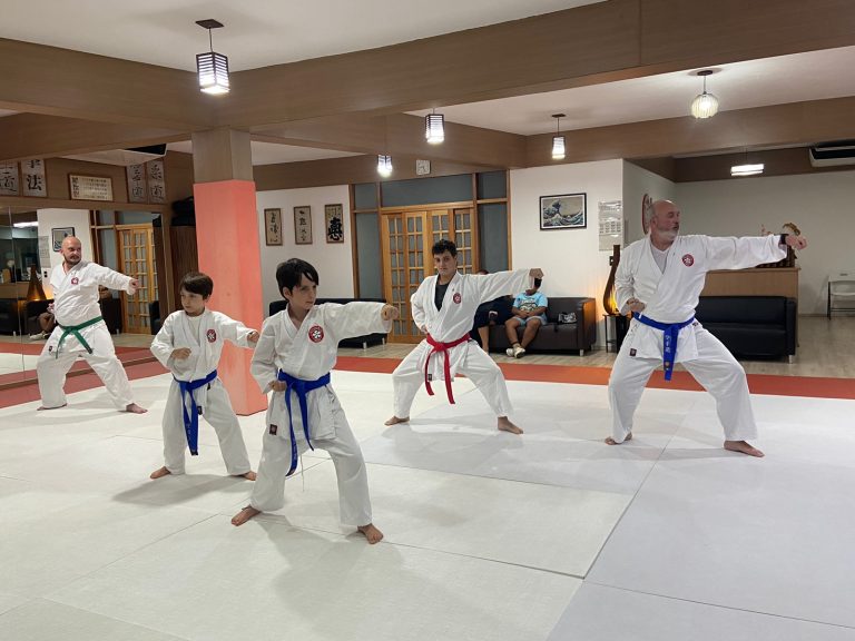 Aula de Karate Shotokan - Renbukan Brasil - Escola de Artes Marciais Japonesas - Cotia - São Paulo - Sensei Francisco Santiago (25)